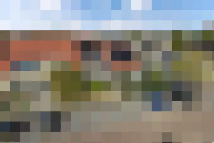 Turfsteker 47 Heerenveen thumbnail 41