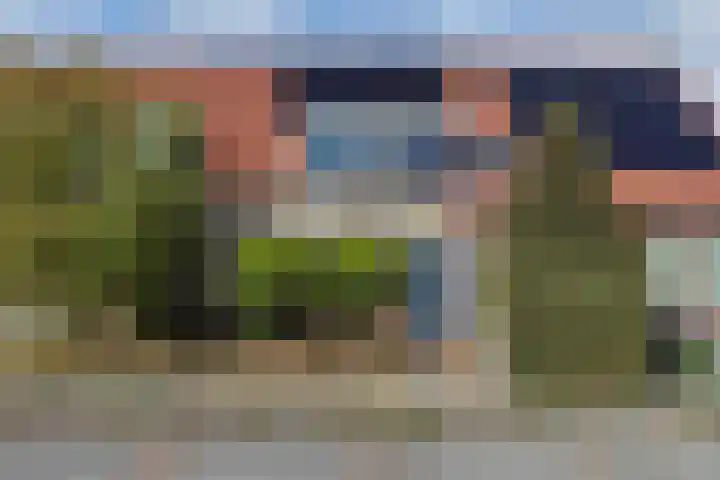 Turfsteker 47 Heerenveen thumbnail 5
