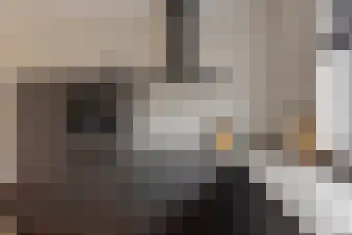 Turfsteker 6 Odiliapeel thumbnail 11