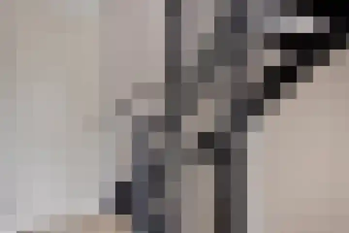 Turfsteker 6 Odiliapeel thumbnail 20