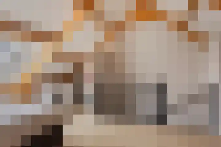 Turfsteker 6 Odiliapeel thumbnail 22
