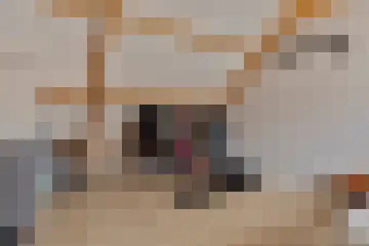 Turfsteker 6 Odiliapeel thumbnail 23