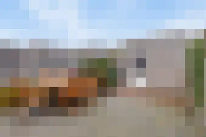Turfsteker 6 Odiliapeel thumbnail 24
