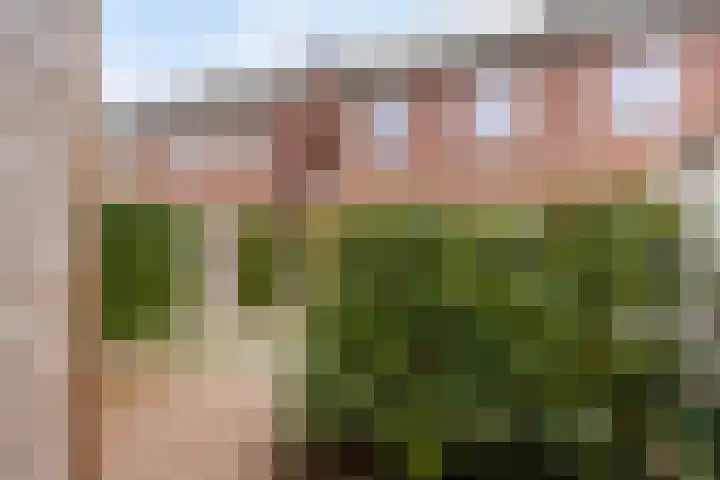 Turfsteker 6 Odiliapeel thumbnail 27