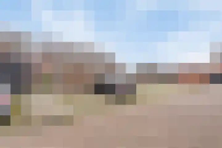 Turfsteker 6 Odiliapeel thumbnail 30
