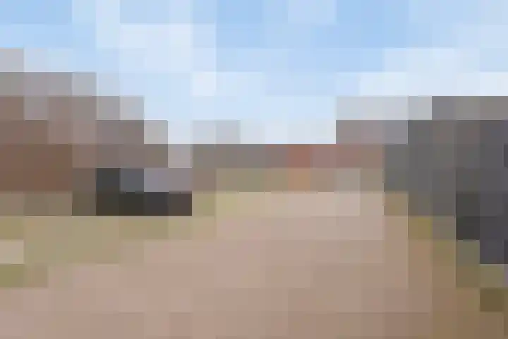 Turfsteker 6 Odiliapeel thumbnail 31