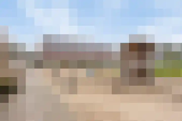 Turfsteker 6 Odiliapeel thumbnail 32