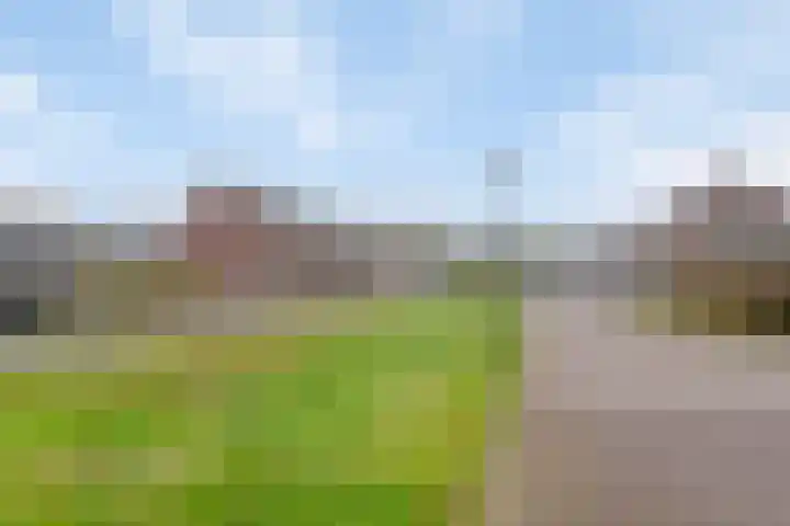 Turfsteker 6 Odiliapeel thumbnail 33