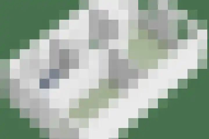 Turfsteker 6 Odiliapeel thumbnail 39