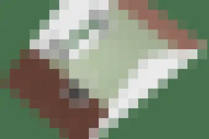 Turfsteker 6 Odiliapeel thumbnail 41