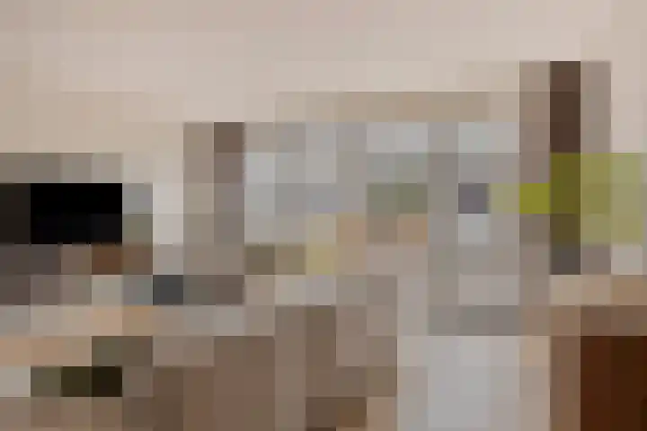 Turfsteker 6 Odiliapeel thumbnail 6