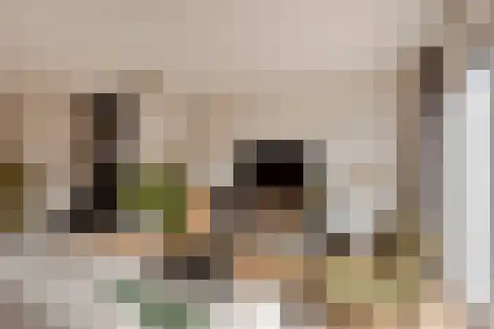 Turfsteker 6 Odiliapeel thumbnail 7