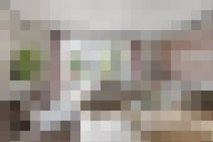 Turfsteker 6 Veenendaal thumbnail 13