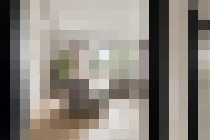 Turfsteker 6 Veenendaal thumbnail 17