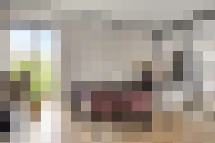 Turfsteker 6 Veenendaal thumbnail 19