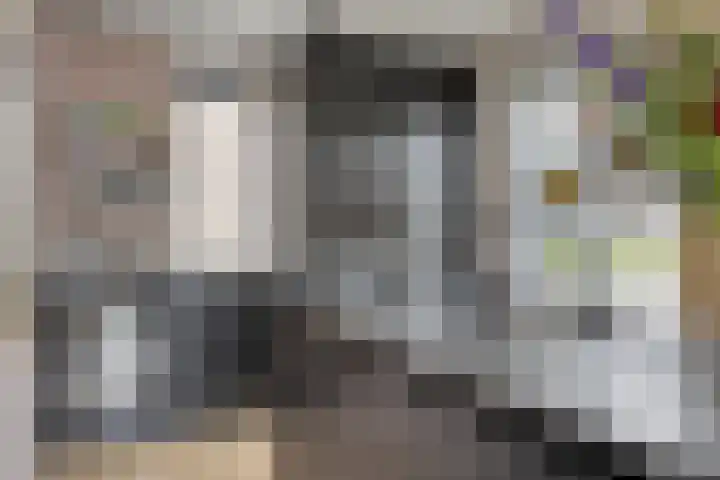 Turfsteker 6 Veenendaal thumbnail 23