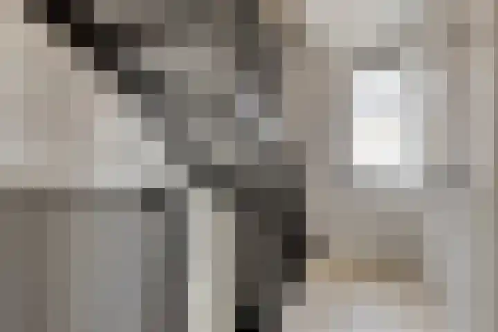 Turfsteker 6 Veenendaal thumbnail 30