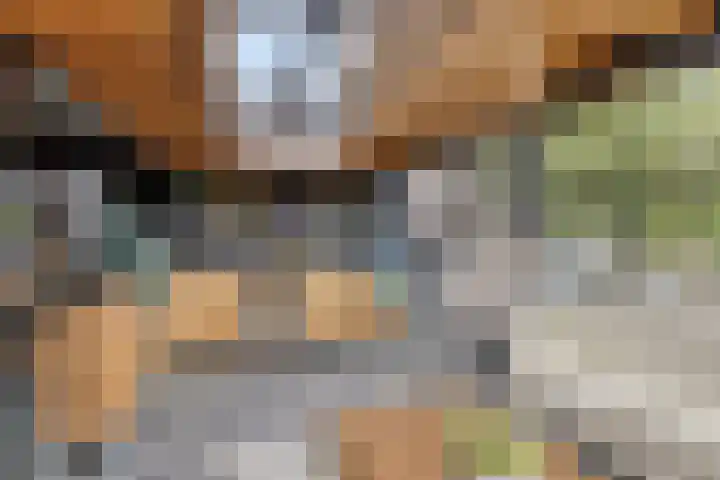 Turfsteker 6 Veenendaal thumbnail 49