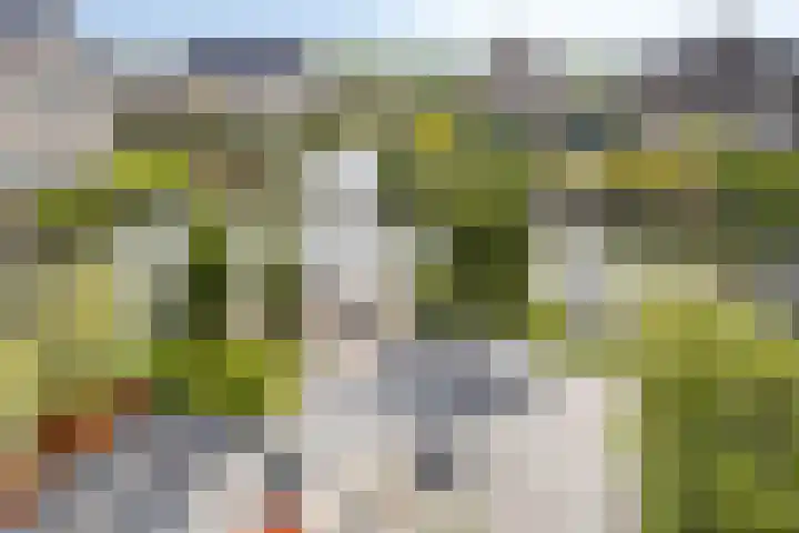 Turfsteker 6 Veenendaal thumbnail 5