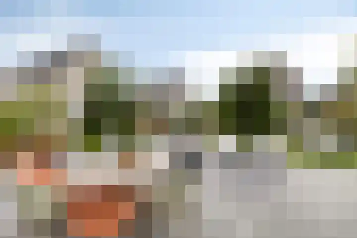 Turfsteker 6 Veenendaal thumbnail 51