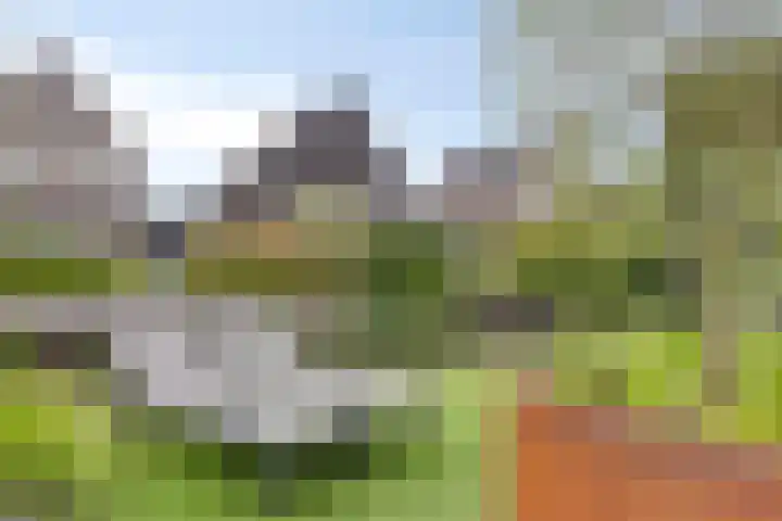Turfsteker 6 Veenendaal thumbnail 52