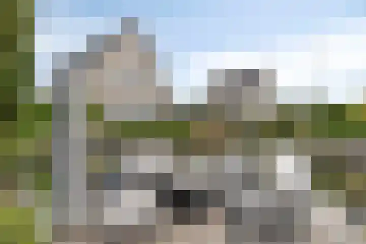 Turfsteker 6 Veenendaal thumbnail 53