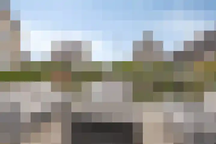 Turfsteker 6 Veenendaal thumbnail 54