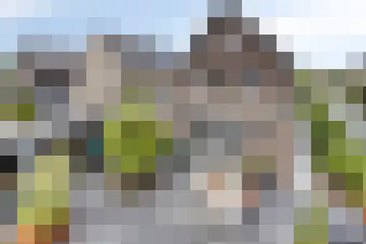 Turfsteker 6 Veenendaal thumbnail 55