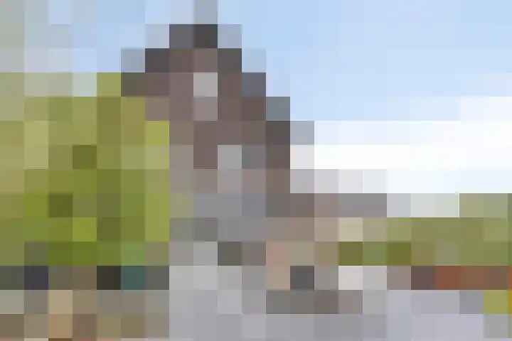Turfsteker 6 Veenendaal thumbnail 56