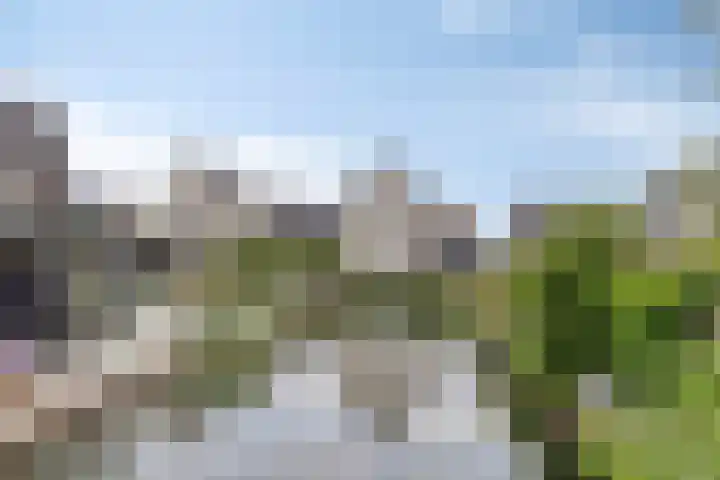 Turfsteker 6 Veenendaal thumbnail 57