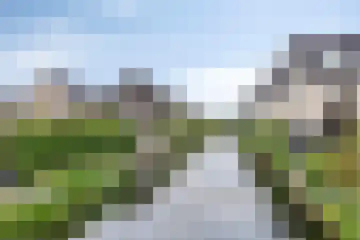 Turfsteker 6 Veenendaal thumbnail 58