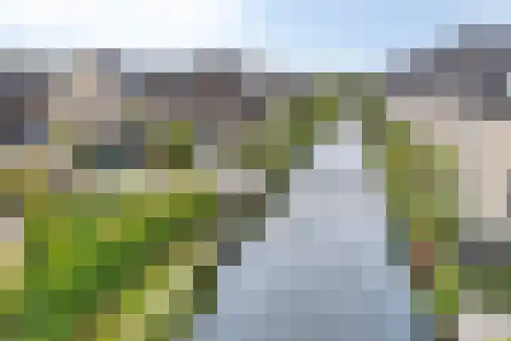 Turfsteker 6 Veenendaal thumbnail 59