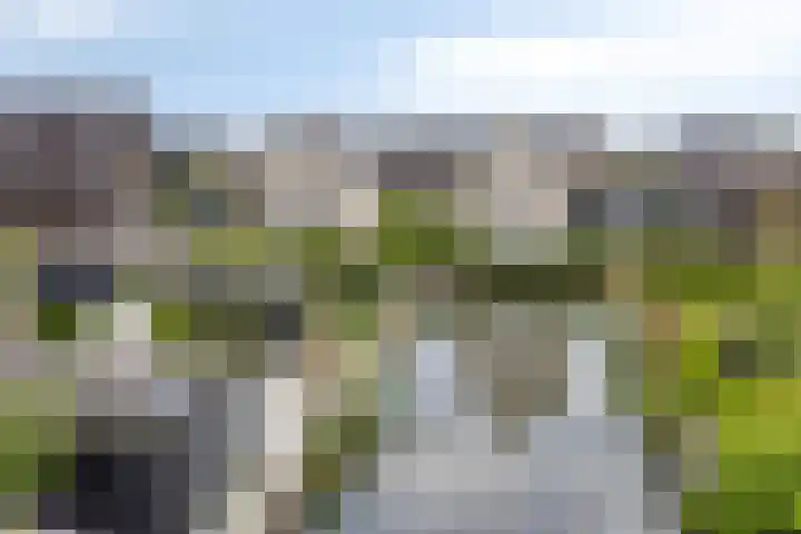 Turfsteker 6 Veenendaal thumbnail 60