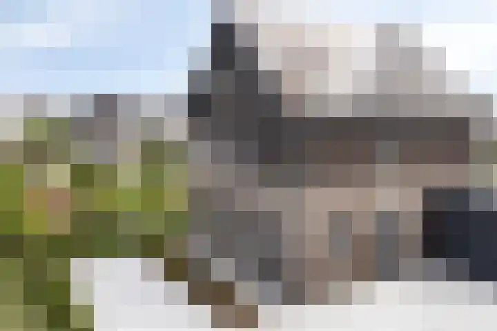 Turfsteker 6 Veenendaal thumbnail 61