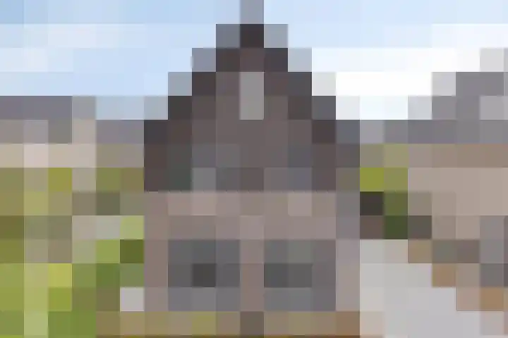 Turfsteker 6 Veenendaal thumbnail 62