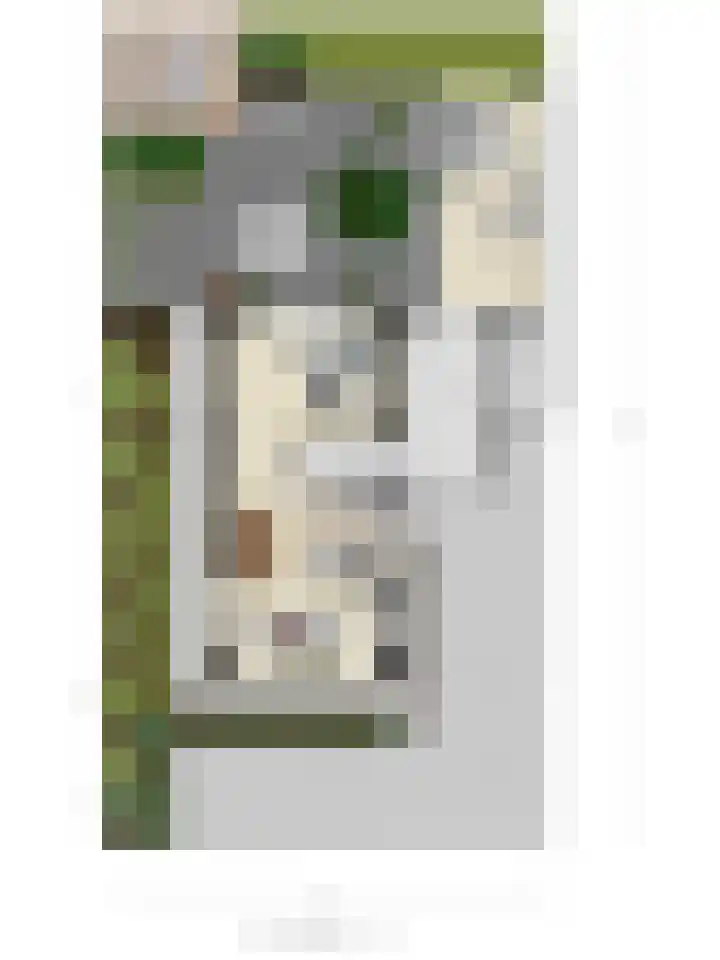 Turfsteker 6 Veenendaal thumbnail 66