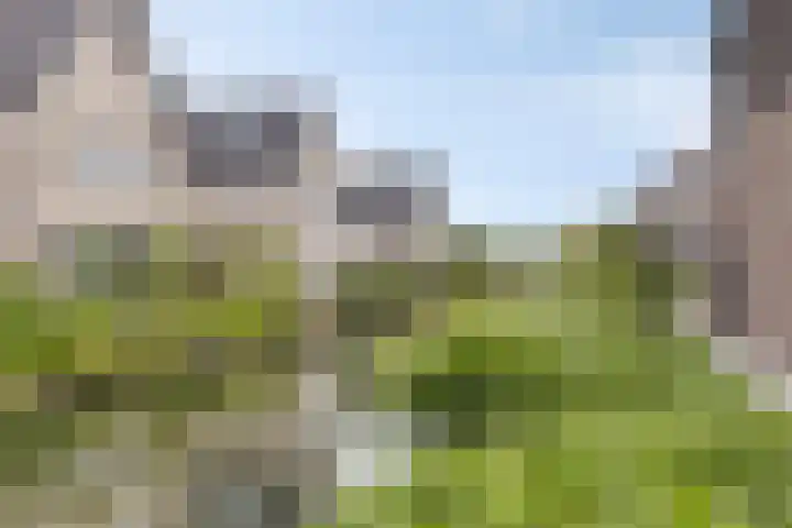 Turfsteker 6 Veenendaal thumbnail 7