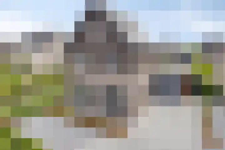 Turfsteker 6 Veenendaal thumbnail 73