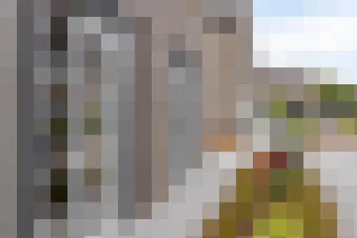 Turfsteker 6 Veenendaal thumbnail 8