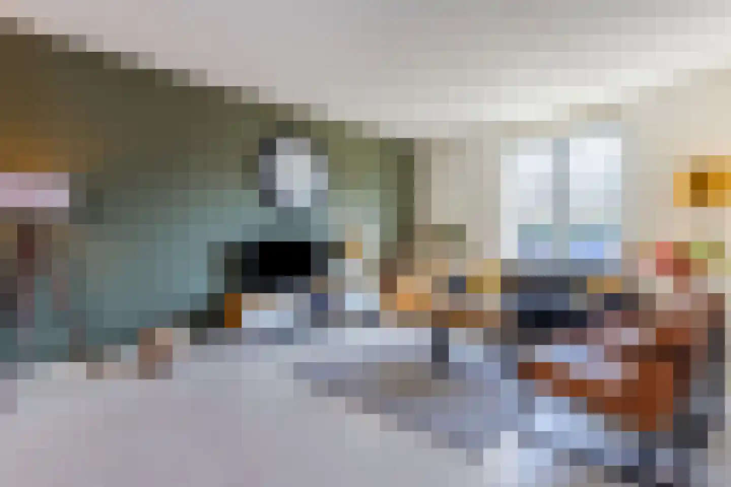 Turfstekerserf 4 Arnhem thumbnail 10