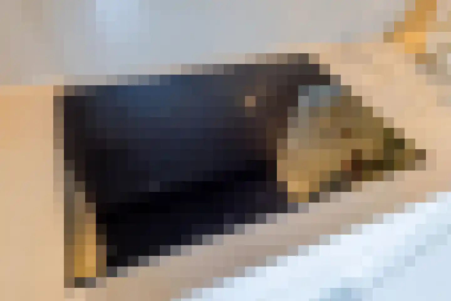 Turfstekerserf 4 Arnhem thumbnail 30