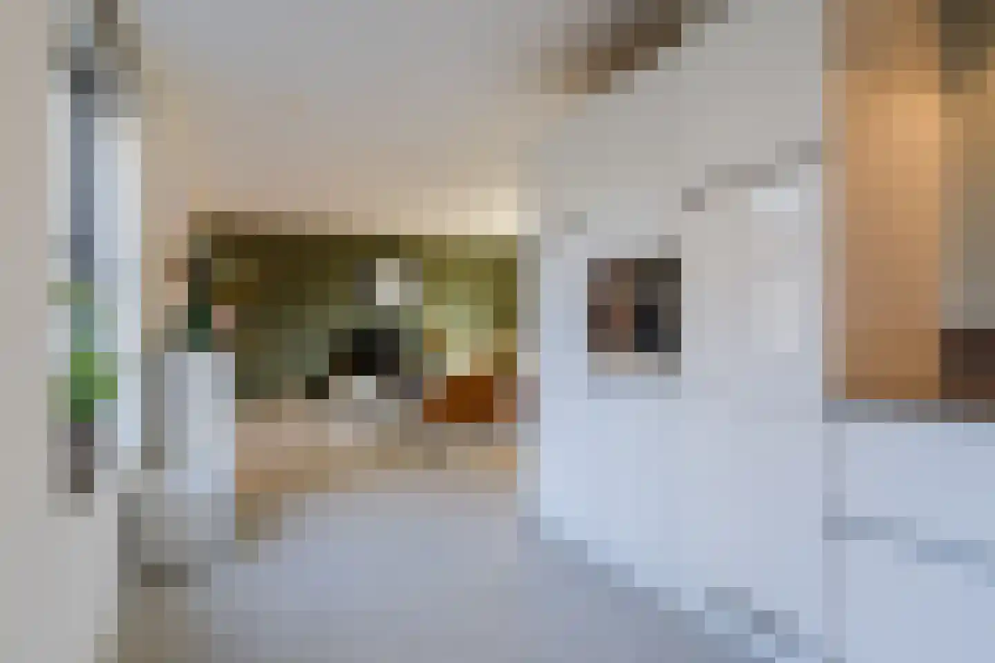 Turfstekerserf 4 Arnhem thumbnail 32