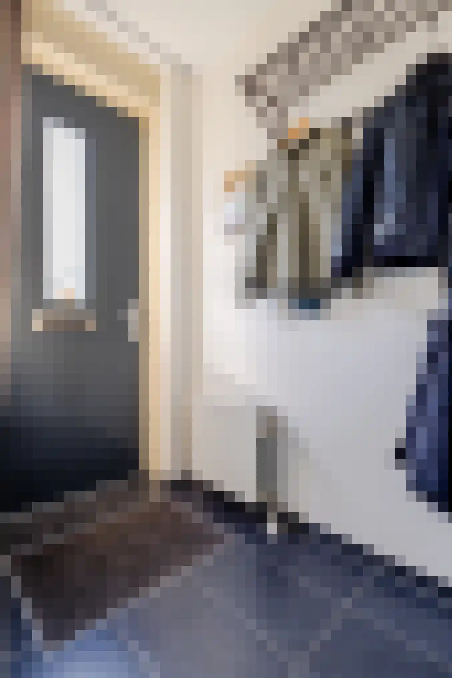 Turfstekerserf 4 Arnhem thumbnail 36