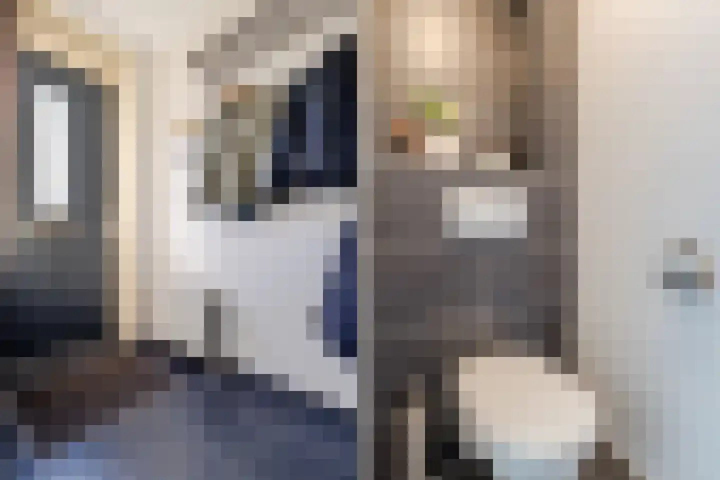 Turfstekerserf 4 Arnhem thumbnail 38