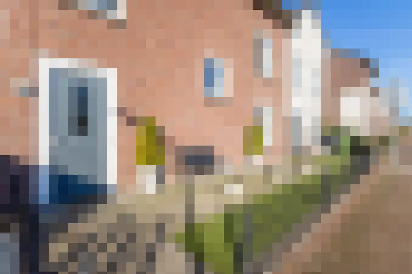 Turfstekerserf 4 Arnhem thumbnail 5
