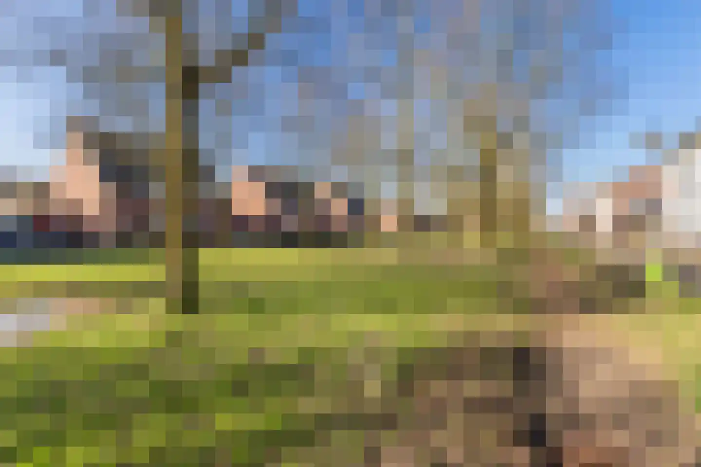 Turfstekerserf 4 Arnhem thumbnail 75