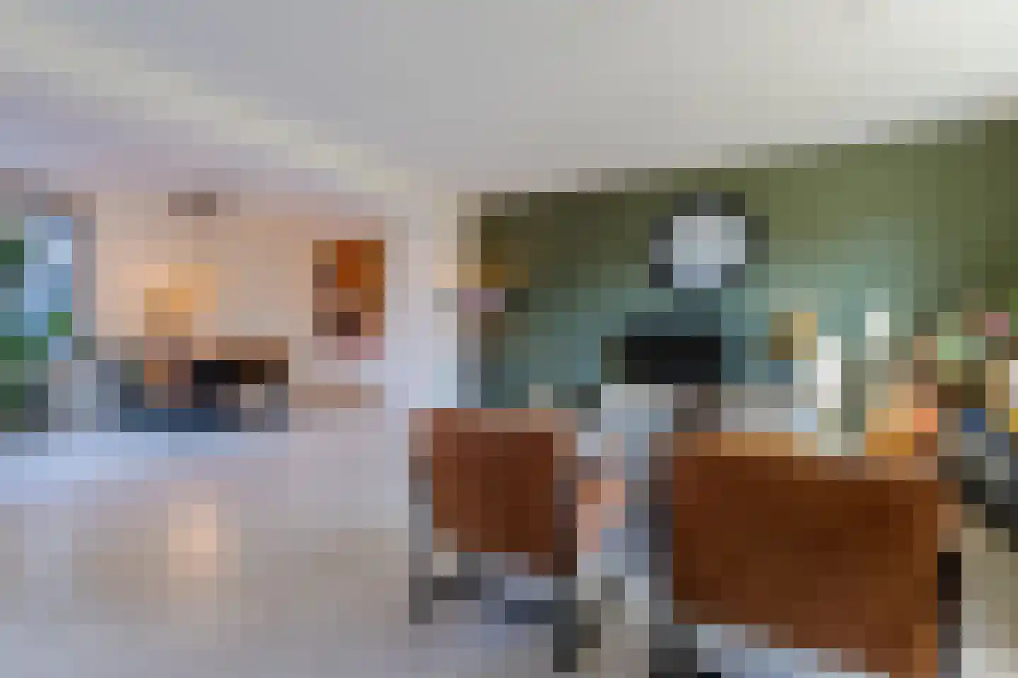 Turfstekerserf 4 Arnhem thumbnail 9
