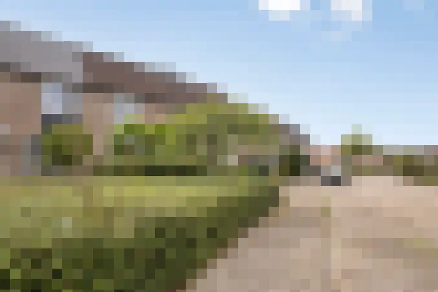 Turfstekershoeve 103 Apeldoorn thumbnail 4