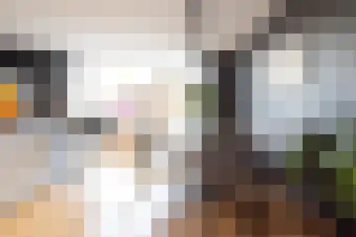 Turfstekershoeve 124 Apeldoorn thumbnail 11