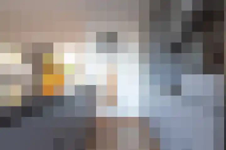 Turfstekershoeve 124 Apeldoorn thumbnail 14
